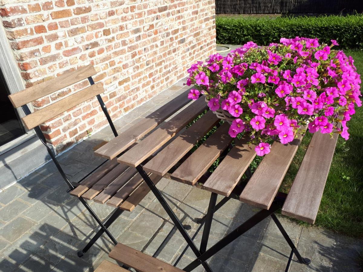 B&B 'T Hoveke Wingene Kültér fotó
